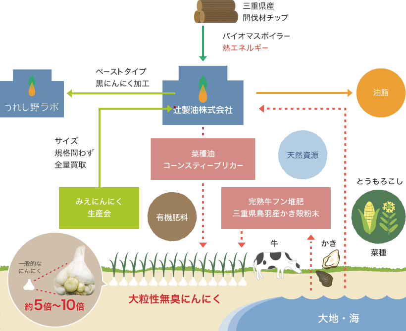 循環型栽培で収穫