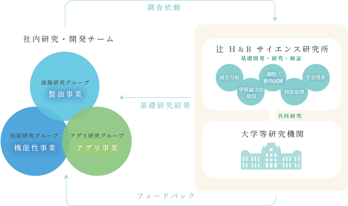 概念図